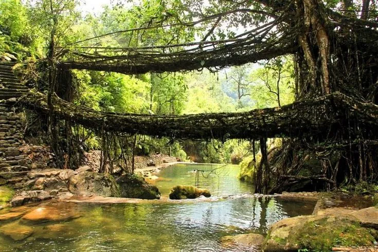 Double Decker Root Bridge, Nongriat